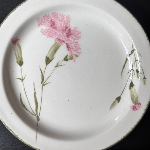 Stonehenge Midwinter Invitation Pink Carnation Plates (Set of 5) - England - Picture 6 of 9